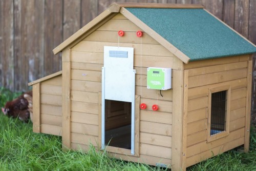 Automatyczne drzwiczki dla kur, kompletny zestaw, 300 x 400 mm, Kerbl