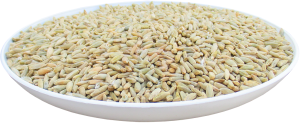 żyto paszowe 1 kg