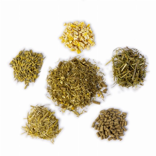 Mieszanka Dla Zwierząt Pokarm Dla Cieląt Źródło Energii Suchy TMR 20 KG