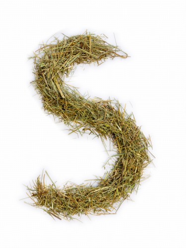 Siano Łąkowe Cięte - Naturalne i Pachnące! 6 KG FRAKCJA 3-5CM