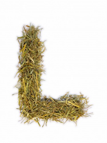 Siano Łąkowe z Lucerną - Naturalne i Pachnące! 6 KG FRAKCJA 3-7 CM