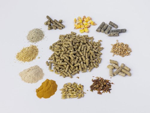 Pasza granulowana dla alpak 20 kg karma granulki dla alpak