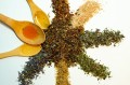 HERBA VITAL Oddech 0,5kg kaszel u drobiu, ochronna dróg oddechowych u kur