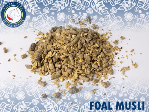 Foal Musli 20kg - dla źrebiąt w pierwszych miesiącach życia