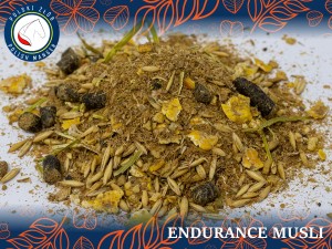Endurance Musli 20kg - energia pod kontrolą