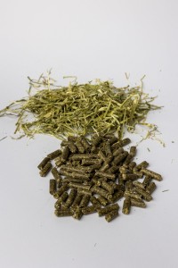 TRAWOKULKI LUZ dla kur i drobiu oraz komponowania własnych pasz