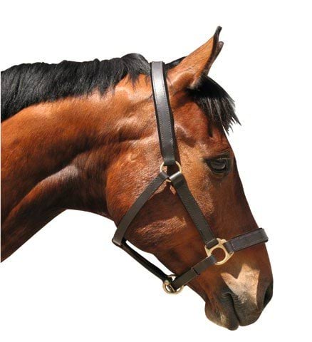 Kantar dla konia Eco, skórzany, brązowy, Covalliero full