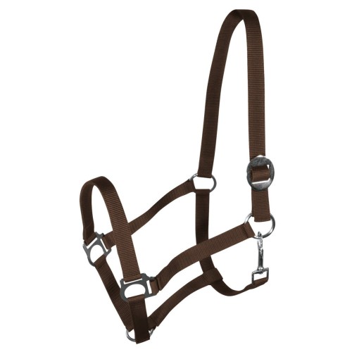 Kantar York Harmony brązowy Pony