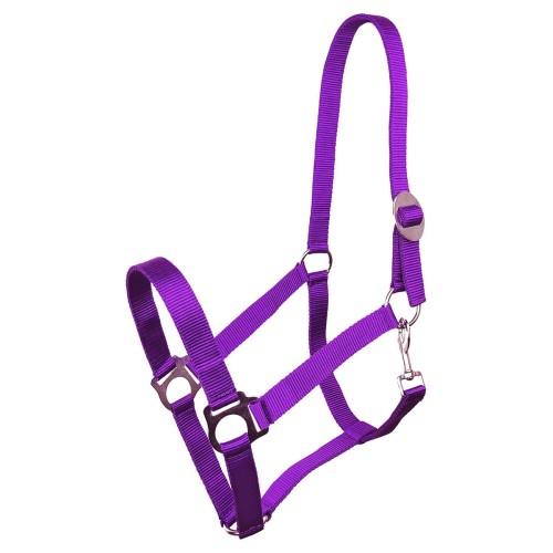 KANTAR YORK HARMONY FIOLETOWY PONY