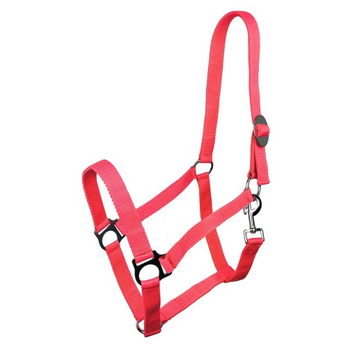 Kantar York Harmony koralowy Cob