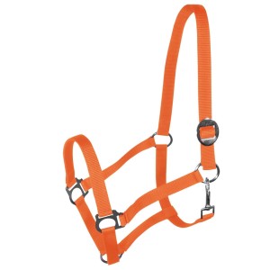 Kantar York Harmony pomarańczowy FULL