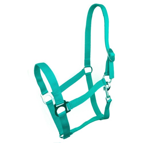 Kantar York Harmony  turkusowy COB 