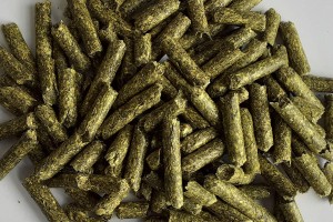 LUCERNA GRANULAT 25KG dla kur i drobiu oraz komponowania własnych pasz