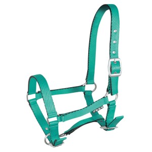 KANTAR YORK TOBI ŹREBIECY JASNOZIELONY