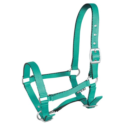 KANTAR YORK TOBI ŹREBIECY JASNOZIELONY