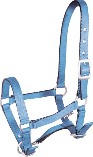 KANTAR YORK TOBI ŹREBIĘCY TOBI BŁĘKITNY