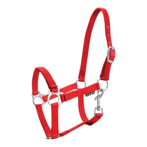 KANTAR YORK ŹREBIĘCY CZERWONY 