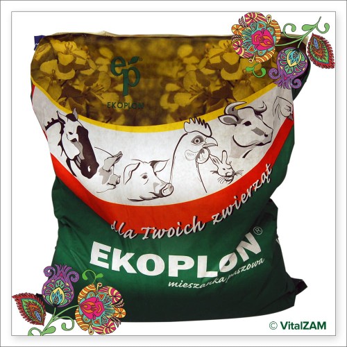 KURCZAK 1 10KG EKOPLON