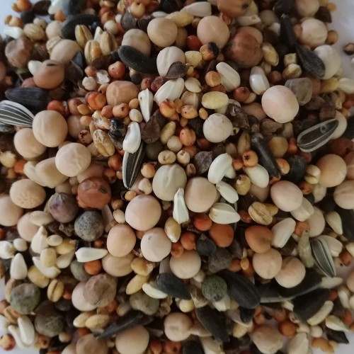 MIESZANKA ZBÓŻ BK 20KG BEST NATURAL