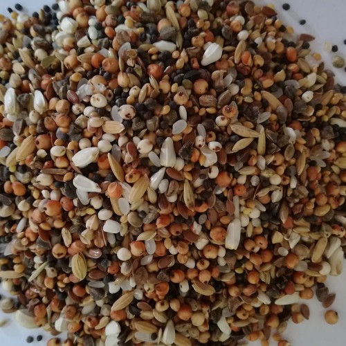 MIESZANKA ZBÓŻ DN 1 KG BEST NATURAL