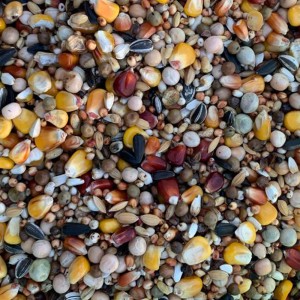 MIESZANKA ZBÓŻ RL 20KG BEST NATURAL