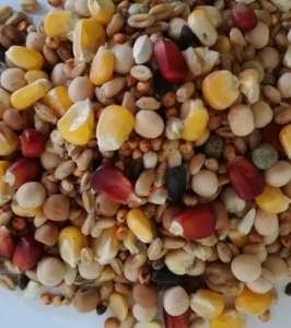 MIESZANKA ZBÓŻ UNIWER. 1 KG dla gołębi